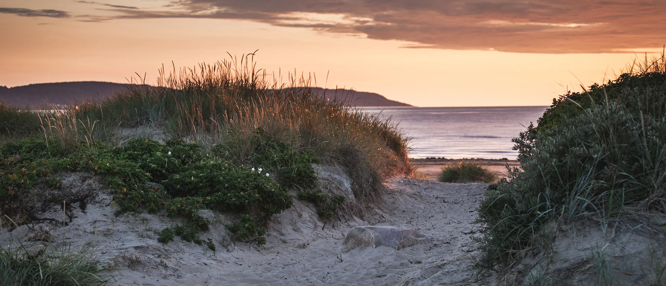 Sanddyner och hav i solnedgång.