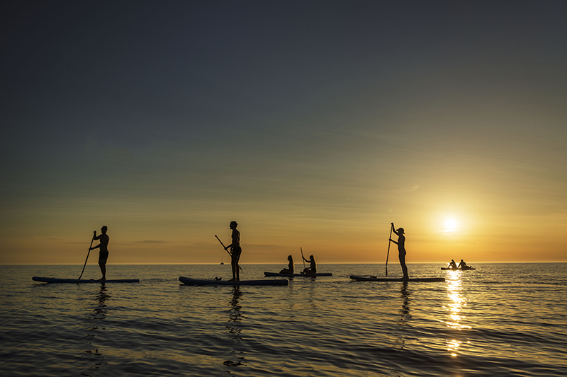 Flera personer paddelsurfar på havet i solnedgången.